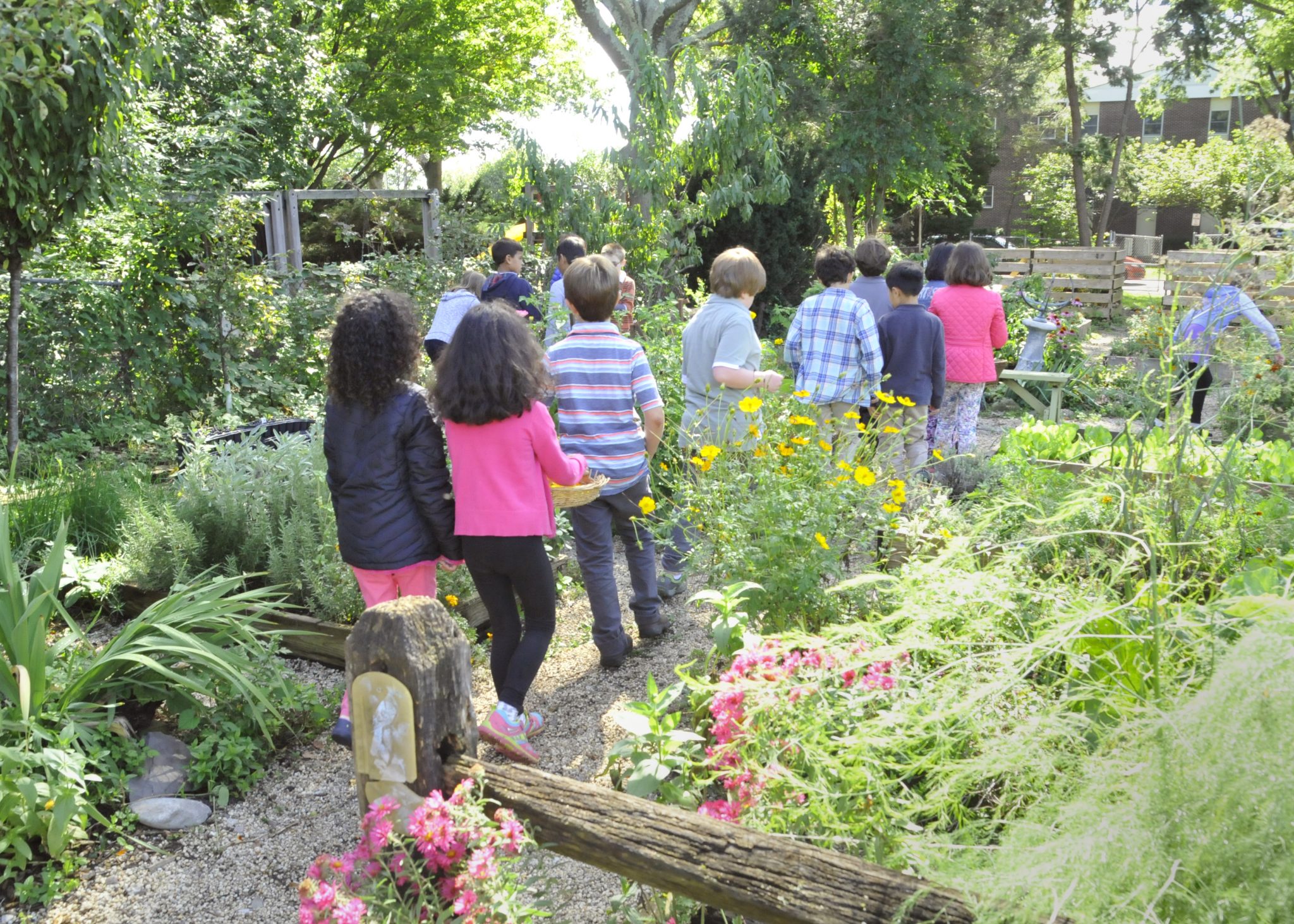 Green Spaces Make Kids Smarter | Waldorf School of Garden City